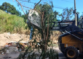 Operação cata-cata resulta em 13 caminhões de materiais inservíveis retirados do bairro Topolândia e região