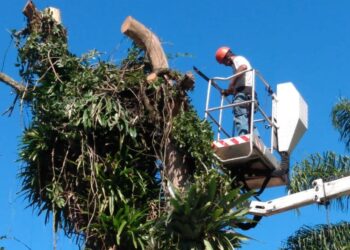 Prefeitura continua com serviços de manutenção na Costa Sul