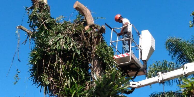 Prefeitura continua com serviços de manutenção na Costa Sul