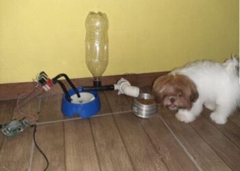 Polo da Univesp em São Sebastião ganha destaque com projeto de “Monitorização de Pets à Distância”   
