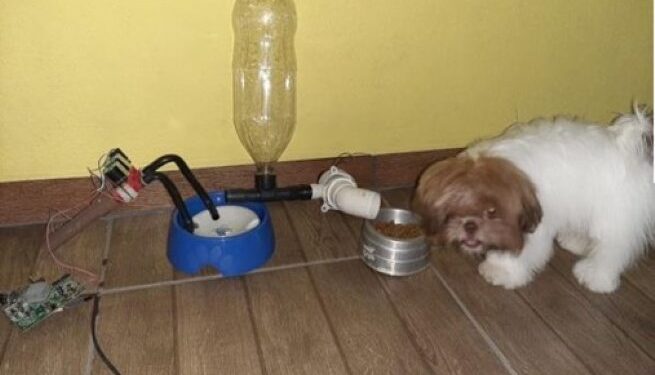 Polo da Univesp em São Sebastião ganha destaque com projeto de “Monitorização de Pets à Distância”   