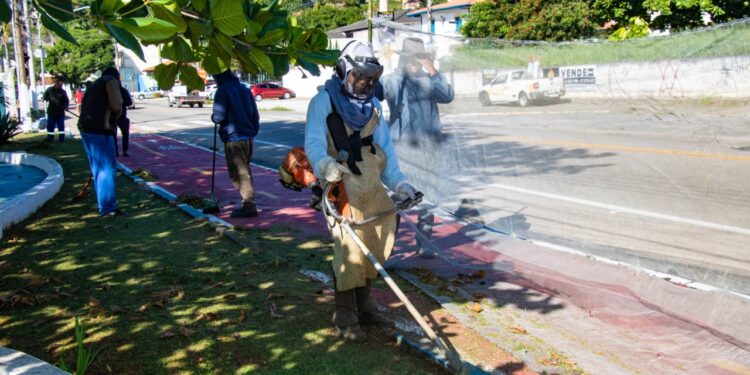 Prefeitura prossegue com serviços de zeladoria na Região Central