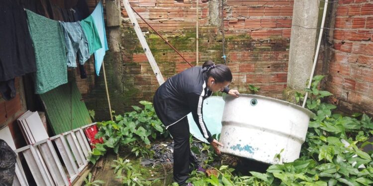 Bairros da Costa Sul de São Sebastião concentram 86% dos casos de dengue