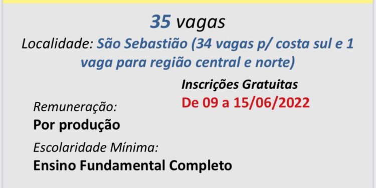 Inscrições para 35 vagas de trabalho no Censo 2022 em São Sebastião encerram-se nesta quinta-feira (15)
