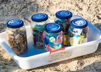 Prefeitura integra mutirão de limpeza na Praia São Francisco