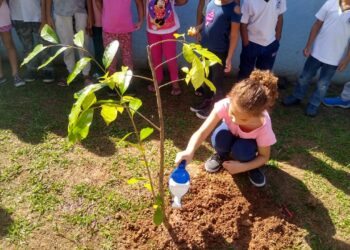 Prefeitura promove plantio de mudas com as crianças da EMEI Mundo Encantado