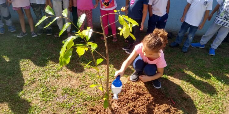 Prefeitura promove plantio de mudas com as crianças da EMEI Mundo Encantado