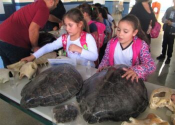 Alunos da EM Prof.ª Joana Alves dos Reis recebem palestra da SEMAM sobre impactos ambientais