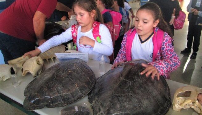 Alunos da EM Prof.ª Joana Alves dos Reis recebem palestra da SEMAM sobre impactos ambientais