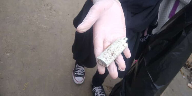 Prefeitura realiza ação de educação ambiental no mangue da Praia Enseada