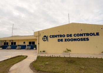 Prefeitura de São Sebastião esclarece que castrações feitas pelo Centro de Controle de Zoonoses são gratuitas