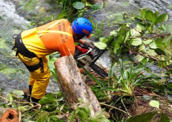 Prefeitura realiza ações preventivas visando o risco dos fortes ventos previstos de quarta-feira (10) a sexta-feira (12)