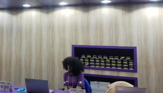 Agentes e gestores sebastianenses participam do Encontro Estadual do Banco do Povo