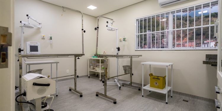 Prefeitura de São Sebastião zera fila de espera para castrações e abre cadastro para cirurgias a partir de outubro