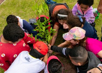 Alunos da rede municipal participam de plantio de mudas no Dia da Árvore