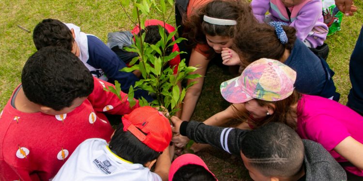 Alunos da rede municipal participam de plantio de mudas no Dia da Árvore