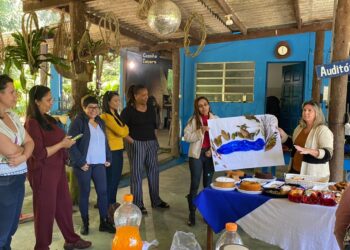 Coordenadores municipais participam de vivência sobre a Reggio Emilia