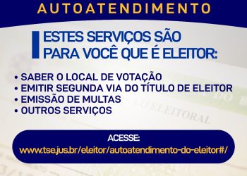 Consulta ao local de votação, justificativas e outros serviços podem ser feitos pelo site do TSE