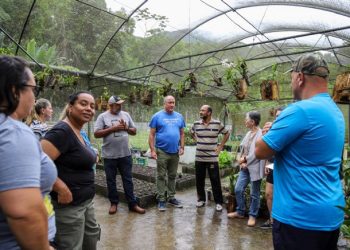 Prefeitura de São Sebastião encerra curso de cultivo de orquídeas no Viveiro Municipal