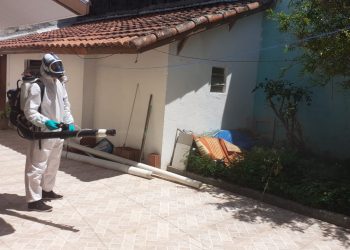 Prefeitura de São Sebastião orienta munícipes a reforçar medidas preventivas contra a dengue durante os meses mais quentes do ano 