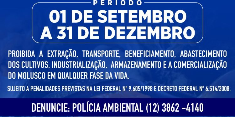 Prefeitura de São Sebastião alerta para período de defeso do mexilhão