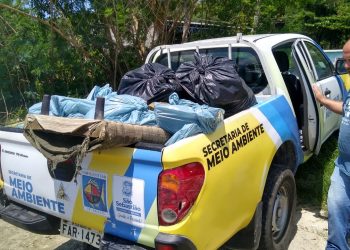 Na última ação de limpeza do ano, Prefeitura de São Sebastião retira 360 quilos de resíduos do Mangue do Araçá
