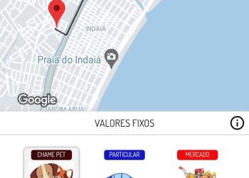 Pets em viagens de férias ao Litoral Norte de SP  terão até carros de aplicativo à disposição