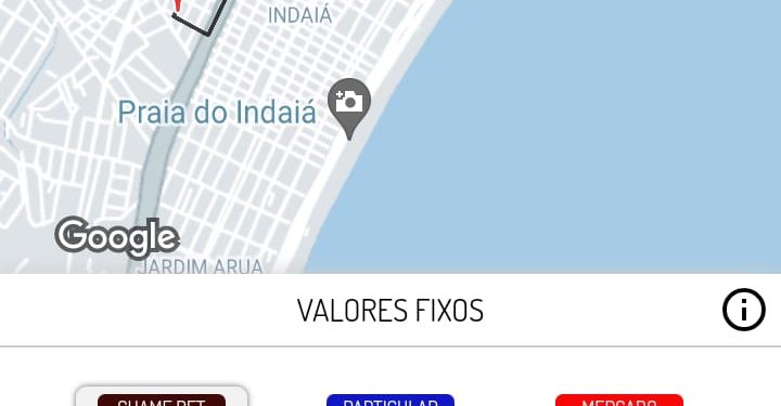 Pets em viagens de férias ao Litoral Norte de SP  terão até carros de aplicativo à disposição
