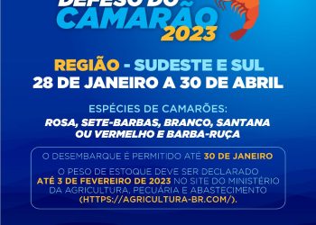 Prefeitura de São Sebastião alerta pescadores sobre o período de defeso do camarão em 2023