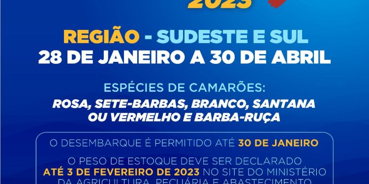 Prefeitura de São Sebastião alerta pescadores sobre o período de defeso do camarão em 2023