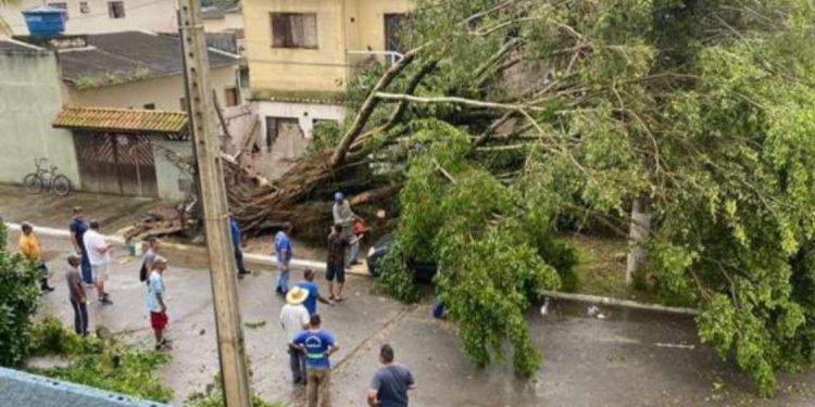 Defesa Civil de São Sebastião atende ocorrências devido à chuva   