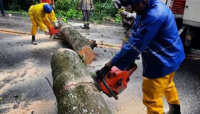 Rodovia interditada entre Praia Grande e Barequeçaba por causa de queda de árvore está liberada