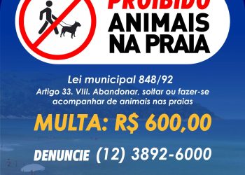 Prefeitura de São Sebastião alerta que levar animais à praia pode gerar multa e apreensão