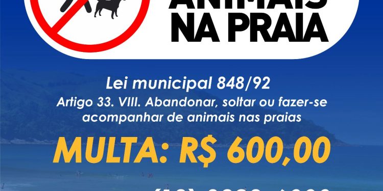 Prefeitura de São Sebastião alerta que levar animais à praia pode gerar multa e apreensão