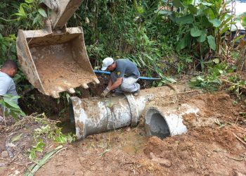 Prefeitura intensifica ações de zeladoria urbana em bairros da Costa Sul