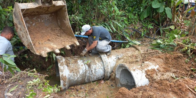 Prefeitura intensifica ações de zeladoria urbana em bairros da Costa Sul