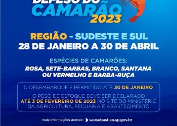 Prefeitura informa que período de defeso do camarão começa neste sábado (28)
