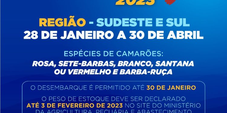 Prefeitura informa que período de defeso do camarão começa neste sábado (28)