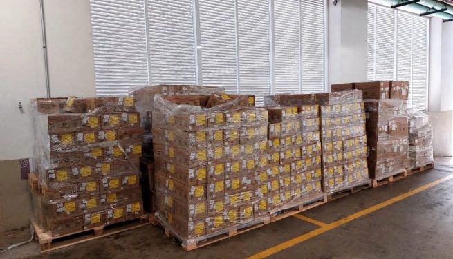  Fundo Social recebe doações do Grupo Elfa Medicamentos 