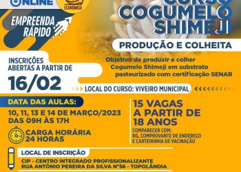 Inscrições para o curso profissionalizante gratuito ‘Cogumelo Shimeji – Produção e Colheita’ estão abertas