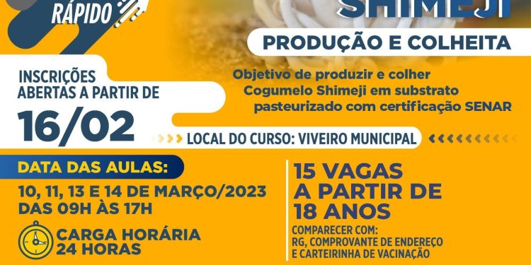 Inscrições para o curso profissionalizante gratuito ‘Cogumelo Shimeji – Produção e Colheita’ estão abertas