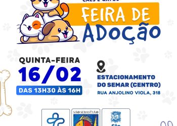 Prefeitura de São Sebastião realiza Feira de Adoção de Cães e Gatos nesta quinta-feira (16) no Centro Histórico