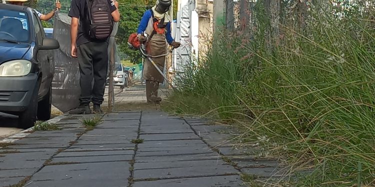 Bairros da Região Central passam por serviços de manutenção urbana intensificados para o Carnaval