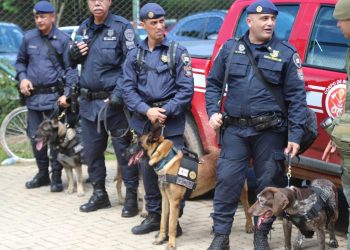 São Sebastião recebe apoio de agentes e cães farejadores da Guarda Civil Metropolitana de São Paulo