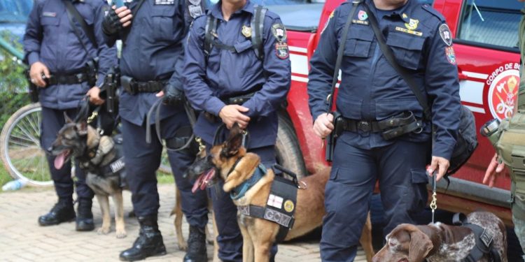 São Sebastião recebe apoio de agentes e cães farejadores da Guarda Civil Metropolitana de São Paulo