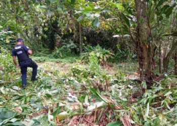 Ação de fiscalização da Prefeitura de São Sebastião evita invasão em Área de Proteção Ambiental na Costa Sul