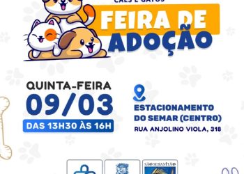 Prefeitura de São Sebastião realiza feira para adoção de cães e gatos vítimas das enchentes