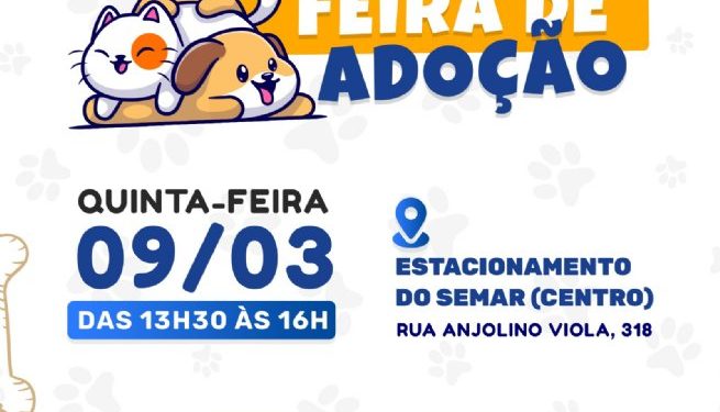 Prefeitura de São Sebastião realiza feira para adoção de cães e gatos vítimas das enchentes