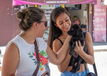Animais expostos em feira de adoção de São Sebastião ganham um lar