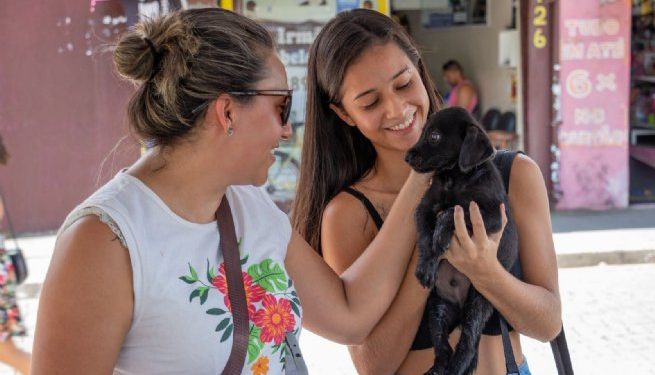 Animais expostos em feira de adoção de São Sebastião ganham um lar